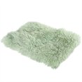 thumbnail image 1 of TopLLC Winter thickened warm winter sleeping pad for small Pet blanket, 1 of 1