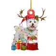 thumbnail image 1 of Christmas Dog Decorations Pendant Hanging Ornament Gift Party For  Tree Unique Design Multicolor Pendants 6Pcs, 1 of 12