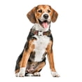 thumbnail image 3 of Ethnic Pattern Personalized Half Metal Cotton Collar Pet Dog Collar, 3 of 9