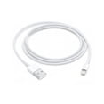 thumbnail image 1 of Apple Lightning to USB Cable (1 m), 1 of 4