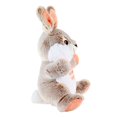 thumbnail image 3 of Way to Celebrate Easter Chubby Cheeks Bunny Plush Toy, Tan, 3 of 3