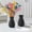 Black, variant on Ceramic Vase Plastic Vase Living Room Decoration Vase Hydroponic Vase Decoration