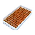 thumbnail image 1 of jifeng Artificial DIY Miniature Flower Cluster Grass Tufts Diorama Layout Scenery Model Orange, 1 of 9