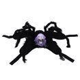 thumbnail image 1 of Costume de Chien Chat Halloween Araignée Respirant Ajustable Simulation Araignée Costume pour Animaux Violet L, 1 of 9