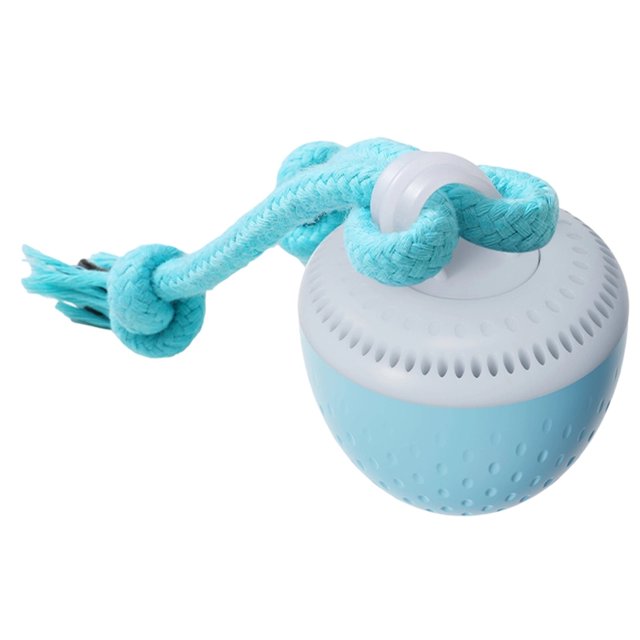 Dvkptbk Interactive Dog Toys Ball pet supplies