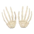 thumbnail image 1 of Pair Of Plastic Skeleton Hands Halloween Decoration Prop For Cosplay Party Prank 6 X 4 Inches Style F white, 1 of 8