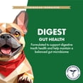 thumbnail image 2 of TruHealthPet Digest Supplement Soft-Chews for Dogs, 90 Count Bag, 225 grams, 2 of 10