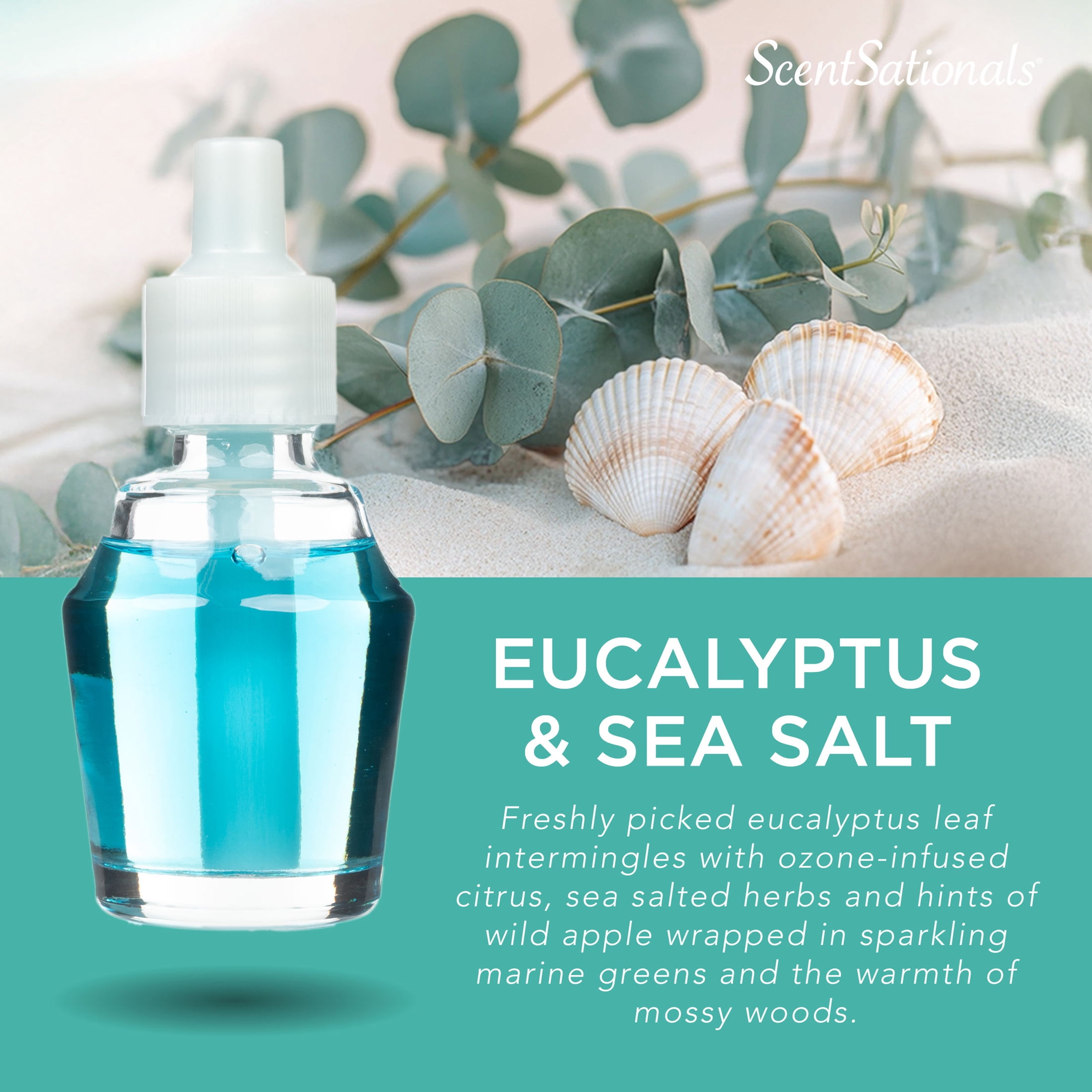 ScentSationals d'huile ScentCharm - Eucalyptus Sea Salt