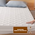 thumbnail image 4 of Fitted Sheet Queen, Mattress Protector, Water Proof Bed Protective Pee Cover Washable with Deep Pockets for Adult, Pets, Potty Training, Bed Wetting,Beige, 4 of 6