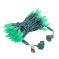 thumbnail image 2 of Novelty Lights 24 Feet 70 LED True Twinkle Green Outdoor Christmas String, 2 of 7
