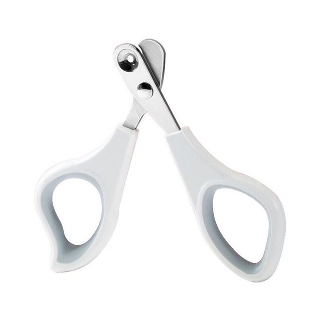 Trou de Coupe-Ongles pour Chat Novice pour Animaux de Compagnie