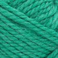 thumbnail image 4 of Fil de marque Lion Re-Filé Épais & Quick Jade 843-176I Super Encombrant Fil de polyester recyclé, 4 of 7