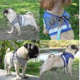 thumbnail image 4 of Cat Harness, Cat Harness Escape Proof, 4 of 5