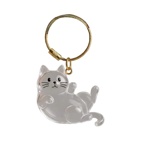 Qocolhg Pet Hair Keepsake Box Keychain, Acrylic Transparent Pet Memorial Keychain Locket for Cat Fur, Cat Memorial Jewelry Keepsake, Pet Remembrance Gift for Pet Lovers - Portable Sealed Storage