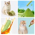 thumbnail image 3 of 10-100PCS Grass Teeth Grinding Stick Catgrass Teething Sticks Freeze-dried Hot J5Z7, 3 of 8