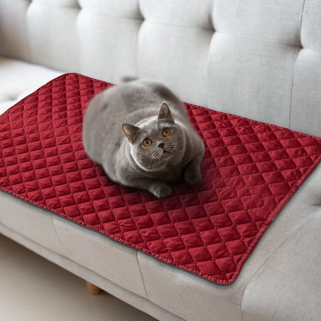 Sale Today Clearance! Pet Sofa Mat With Pillow And Summer Heat Relief Pet Mat