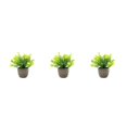 thumbnail image 1 of Decodeary Green Eco-friendly Artificial Money Tree In Pot Long-lasting Durability Realistic Appearance yellow babysbreath 3Set, 1 of 6