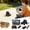 Black, variant on Svmmer Remote Control Off Road Vehicle For Kids Outdoor Racing Truck All Terrain RC Hobby