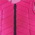 thumbnail image 4 of pitrice Gilet de Protection pour Équitation, Protecteur de Cheval, 4 of 7