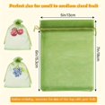 thumbnail image 4 of MesaSe 100 Pcs Filet de Protection contre les Insectes des Plantes Sacs de Protection des Fruits Verts pour Pommes Tomates Fruits, 4 of 6