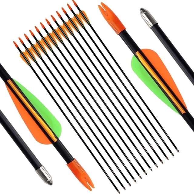 Runzkzy Metal Arrows 29 inch 6/12PCS Hunting Arrows for Bow Compound Recurve and Traditional Bows