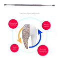 thumbnail image 3 of Stainless Steel Double Ended Dental Calculus Removal Tool  Dog Tooth Scraper Plaque Tartar Remover  Tooth Scaler For Dogs And Cats, 3 of 8