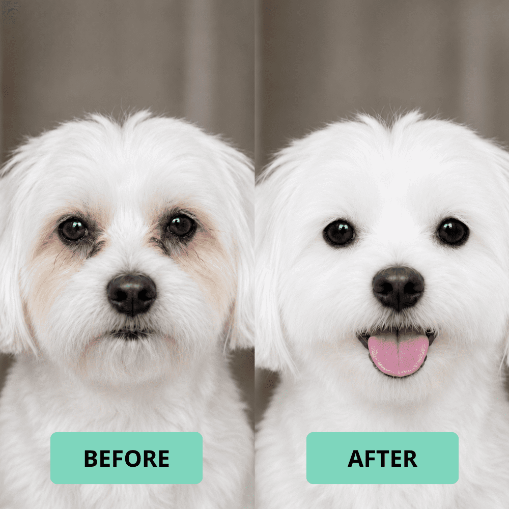 Wahl Refresh Eye Care Finger Wipes for Dogs – Dual-Sided Silicone & Soft Pearl Textures Remove Tear Stains & Debris, Fragrance-Free with Vitamin E & Aloe, Model-58557