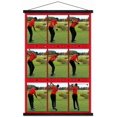 thumbnail image 4 of Tiger Woods - Conduire, 4 of 5