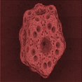 thumbnail image 1 of Ahgly Company Tapis d'Intérieur Lavable en Machine Carré Rouge, 6 Pieds Carré, 1 of 7