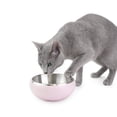thumbnail image 2 of One Paw , Bol pour Chat en Acier Inoxydable à Double Paroi, Plusieurs Couleurs, 300ml (10.14 oz), 2 of 7