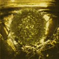 thumbnail image 1 of Ahgly Company Tapis de Zone Carré Caramel Brun Transitionnel Lavable en Machine, 8 Pieds Carré, 1 of 7