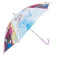thumbnail image 4 of PARAPLUIE DE GLACE CONGELÉ, 4 of 5