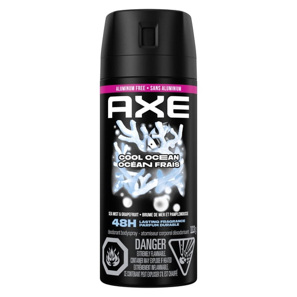 AXE Aluminum-Free Deodorant Body Spray Cool Ocean, 113 g