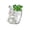 Vert, variante sur FEOLGEHLY Lapin de Pâques Oeufs Colorés Poussins Cadeau Pot à Bonbons, Pot de Rangement en Verre avec Couvercle pour Bonbons Friandises, Boîte-Cadeau Contenant en Verre Oeuf de Pâques pour Souvenirs de Fête des Fêtes Déco Maison, 1000g, Rose