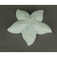 thumbnail image 3 of Plat Décoratif Étoile de Mer en Fonte Blanche Vieillie 3 Pcs, 3 of 3