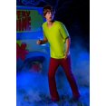 thumbnail image 3 of Déguisement Shaggy Classique pour Homme Scooby Doo, 3 of 6