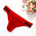 thumbnail image 2 of Clearance Sale 2025 Intimates Mens Clearance Micro Mesh Soft Breathable Underwear Bikini Briefs See-Through, 2 of 5