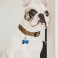 thumbnail image 3 of Vaidha Personalized Stainless Steel Pet Silent Label, Shaped Label,Suitable For Pet Lovers, 3 of 3
