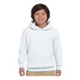 thumbnail image 1 of Hanes - Chandail à Capuchon pour Jeunes Ecosmart, 1 of 1
