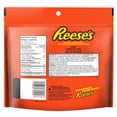 thumbnail image 2 of Reese's Chocolate Lava Snack Size 170G, 2 of 7