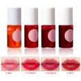 thumbnail image 2 of WIFKLSIIPG Ensemble de 4 Couleurs de Teinture pour Lèvres Teinture pour Lèvres Yeux et Joues Vernis à Lèvres Velours Mini Rouge à Lèvres Liquide Hydratant Longue Tenue Ne Colle Pas à la Tasse Brillant à Lèvres 7,1 ml, 2 of 7