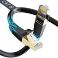 thumbnail image 2 of DbillionDa Câble Ethernet CAT8, Extérieur&Intérieur, 65 Pieds Robuste Résistant aux Intempéries 26AWG Câble LAN CAT8, 40Gbps 2000Mhz avec Connecteur RJ45 Plaqué Or, Haute Vitesse pour Routeur/jeux, 2 of 3