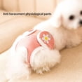 thumbnail image 2 of Female Dog Sanitary Pants  Pet Washable Reusable Physiological Diapers Shorts  Menstrual Care Pants For Small  Medium Dogs, 2 of 6