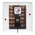 thumbnail image 3 of Farm Innovators Incubateur à Air Chaud avec Tourneur, Blanc (2 Pack), 3 of 8