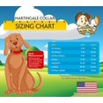 thumbnail image 4 of Country Brook Petz - Brown Martingale Heavy Duty Nylon Dog Collar - 21 Vibrant Color Options (1 Inch Wide. Extra Large), 4 of 8