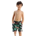 thumbnail image 2 of Family Matching Father Son Swim Trunks and Boys Quick Dry Swimwear, 2 of 5