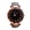 Gray-GY, variant on TIMIFIS Watches for Women Ladies Casual Fashion Quartz Watch Sky Twinkling Dial Leather Strap Watch - Summer