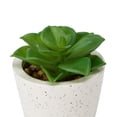 thumbnail image 4 of Anko Artificial Succulent in Pot, 4 of 5