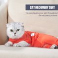 thumbnail image 3 of Labymos Pet Recovery Suit Four Legs Abdominal Wound Jacket for Cats, 3 of 8