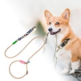 thumbnail image 2 of TIELUTT Durable Dog Leash for Small Medium Dogs Reflective Nylon Pet Outdoor Walking Training Adjustable Dog Bungee Leash Stroller Leash for Wrist Cat Leash Stretchy Tan Leash Training Line for Dogs, 2 of 4